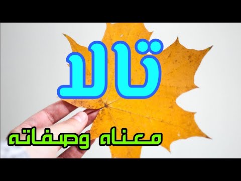 معنى اسم تالا وصفات من تحمل هذا الاسم