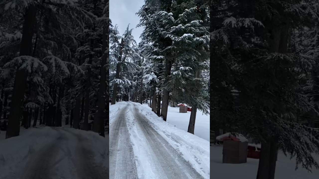 Exploring the Mysteries of Usho Forest on Planet Kalam | Sci-Fi Short Clip 