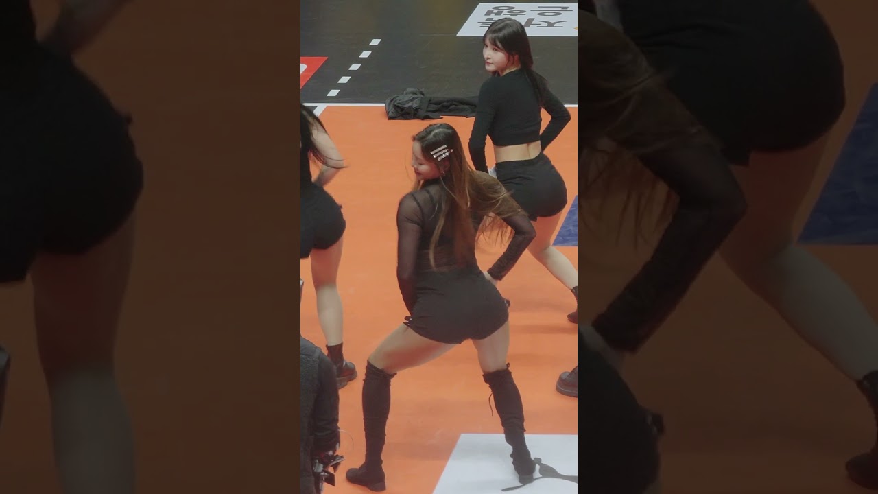 KB스타즈배구 치어리더