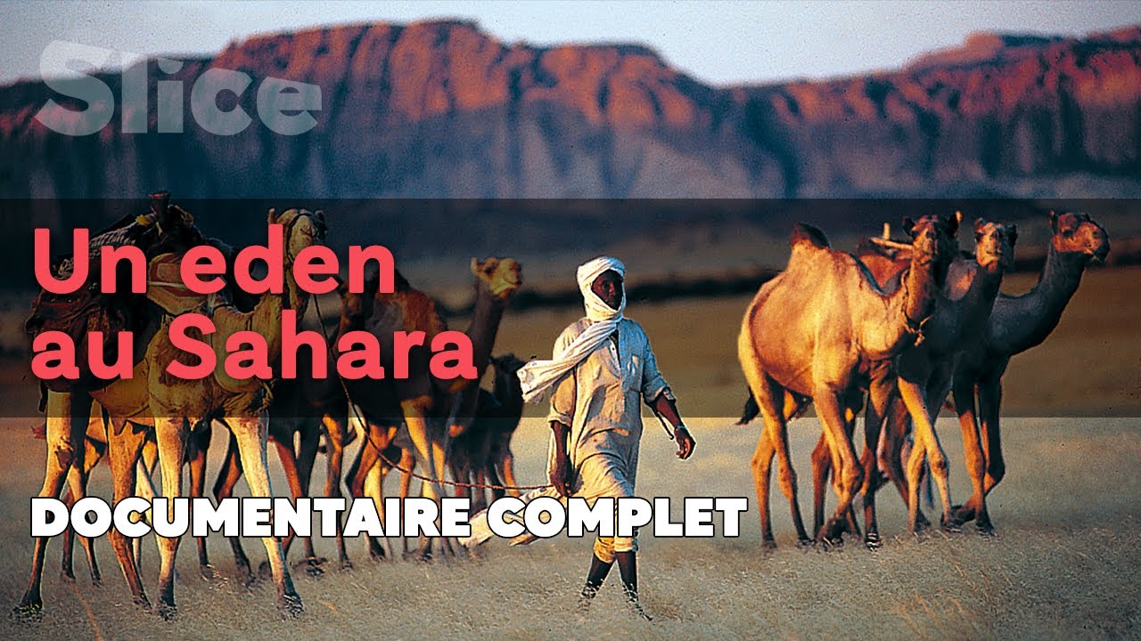 Un Eden au Sahara | SLICE | DOC COMPLET