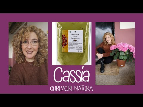 Video: Cómo usar Cassia Obovata en el cabello: 7 pasos (con imágenes)