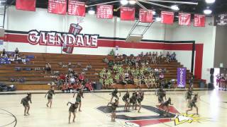 WPDT Drill Team 2015