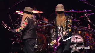 Pincushion - ZZ Top - live 2013