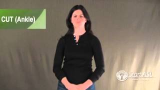 1c. Body Part Classifiers: Injuries