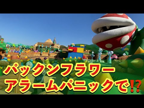 パックンフラワー アラームパニック 目覚まし時計多すぎ 