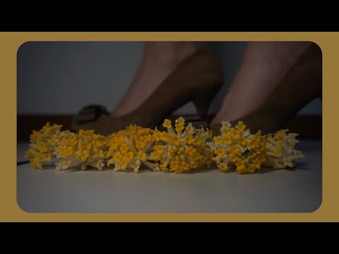 BLANCO VS FIORI - SATIFYING