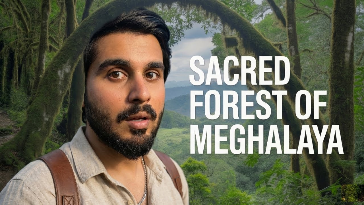 Mawphlang Sacred Forest & Hidden Viewpoints | Meghalaya Travel Vlog in Hindi