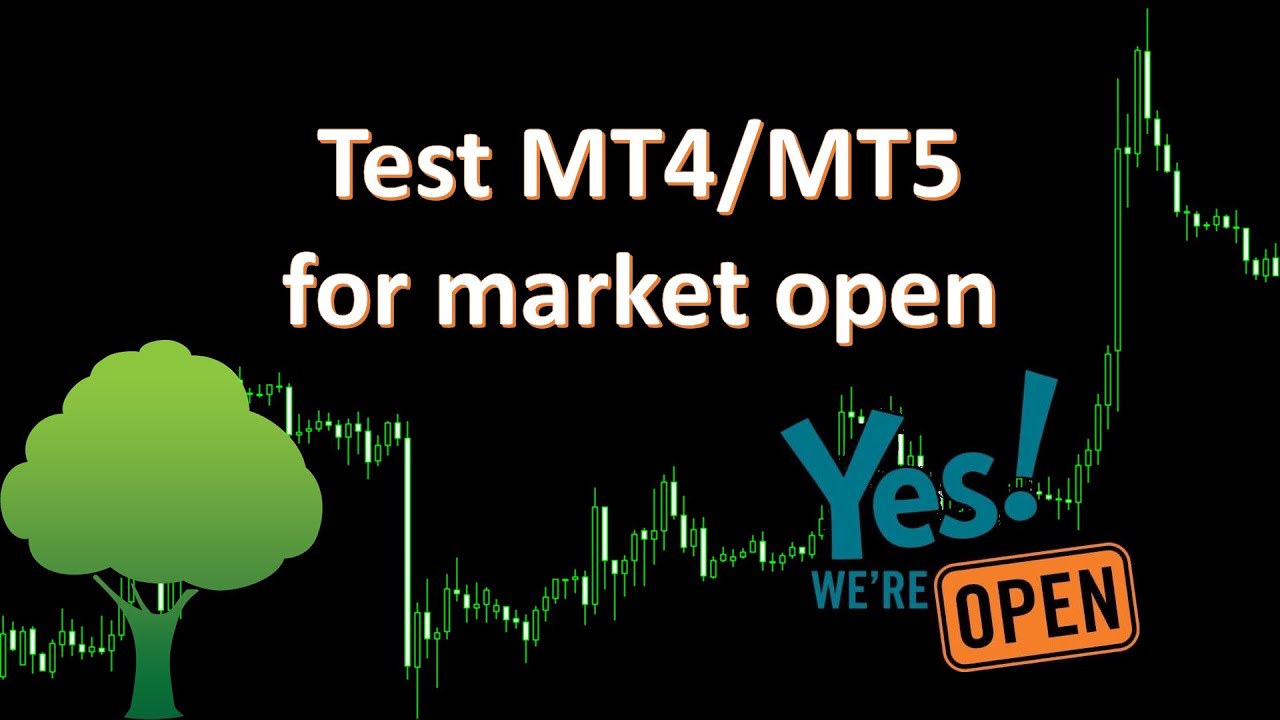 know-when-the-market-is-open-in-mt4-and-mt5-youtube