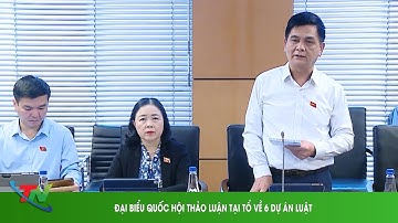 ĐẠI BIỂU QUỐC HỘI THẢO LUẬN TẠI TỔ VỀ 6 DỰ ÁN LUẬT