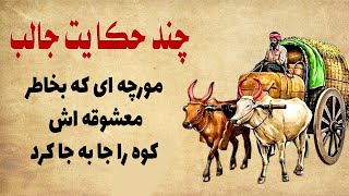 چند حکایت کوتاه و عبرت آموز