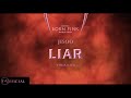 JISOO LIAR BORN PINK WORLD TOUR VISUALIZER Y V JISOO LIAR BORN PINK WORLD TOUR VISUALIZER Y V