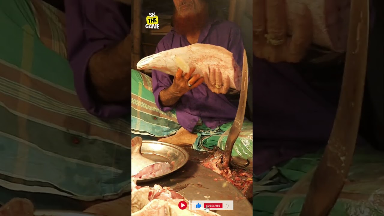 Amazing Foli Fish Cutting [ part-3 ] 