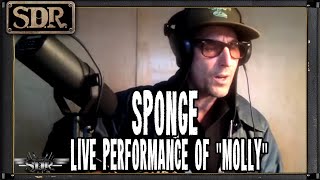 Sponge Molly Live Acoustic By Vinnie Dombroski On The Sdr Show