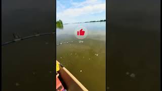 Серёжа держи или монстр под водой..#рыбалка #рыба #удочка #shorts