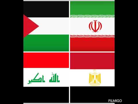 ينقصها الذكاء غبيه غبا لسانها طويل قليله الحياء