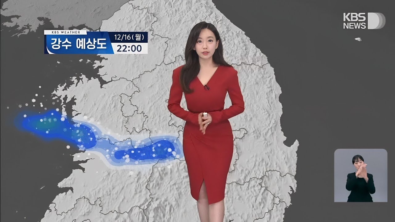 [날씨]뉴스9 강아랑기상캐스터 241216