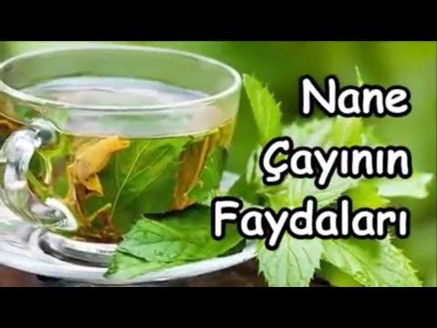 Video: Nane çayının Faydaları