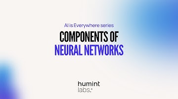 Neural networks basics by Humint Labs