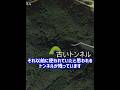 【廃道&廃隧道】とても古い廃トンネルを紹介します～旧嘉谷トンネル(仮) 翻訳字幕あり translation subtitles #shorts