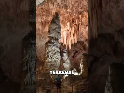 Video: Taman Nasional Gua Carlsbad di New Mexico