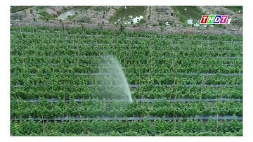 #07 Máy tưới tự động | Máy tưới rẫy tự động