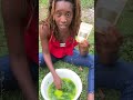 Wild Jamaican Plant Heals Acne, Spots & Ringworm Fast