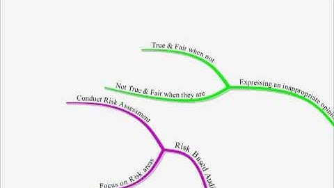 CIMA P3 Lecture 9 Conducting an Audit