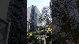 no traffic #followers #highlights #shortvideo #viralvideo