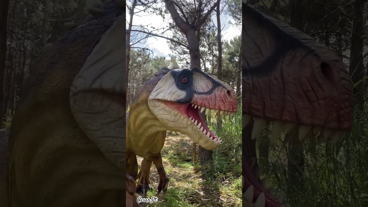 Theropod acrocanthosaurus 