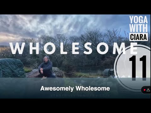 DAY 11: WHOLESOME