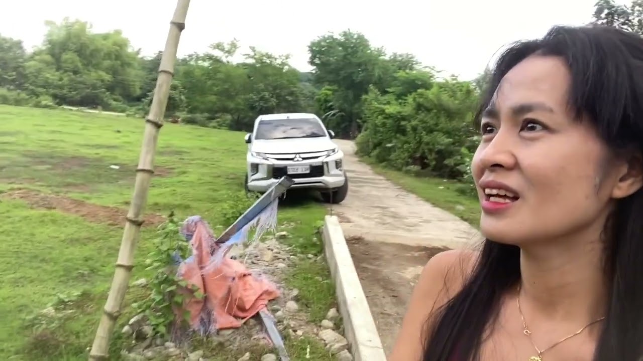 Ang taas ng live weight ng baboy