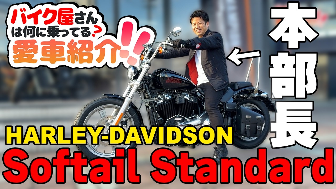 【愛車紹介】中古バイク屋の営業本部長が選んだ1台！ハーレー「ソフテイルスタンダード」の魅力とは？