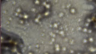Crystalline Sonography - additive particle lattice nucleation