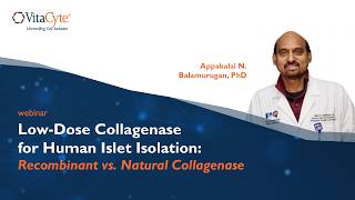 Webinar Low Dose Collagenase for Human Islet Isolation Recombinant vs. Natural Collagenase