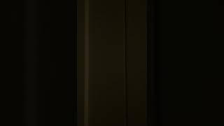 Turkey, Hotel Club Nena, Mouse In The Wall