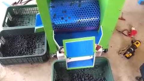 Blueberry sorting machine