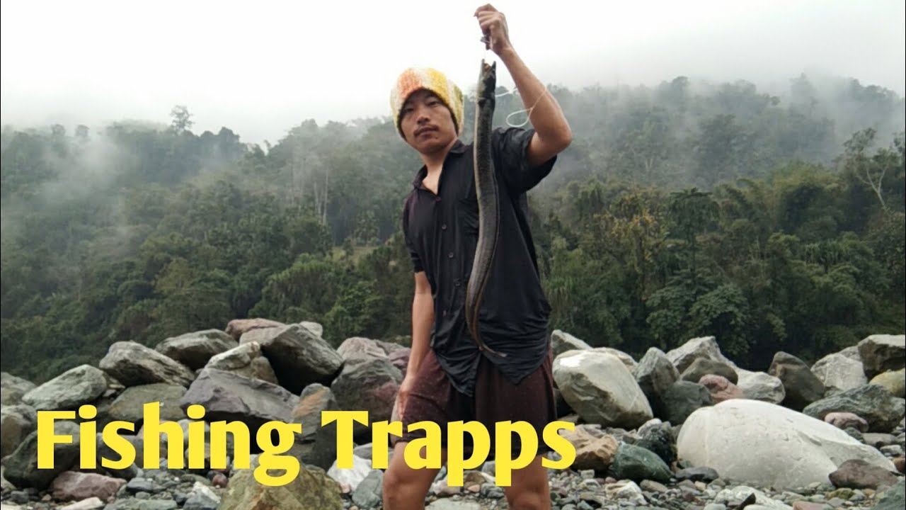 Eels fish traps...🐋🐋🐠  at Simang river, siang district, Arunachal Pradesh India @paboallin1