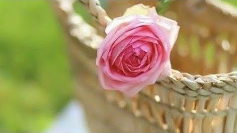 (ص ١٠٦ أواخر سورة النساء وبداية سورة المائدة) - القارئ الشيخ عبد الله بصفر حفظه الله تعالى ...