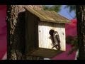 Birdhouses 102 Birdhouses 102