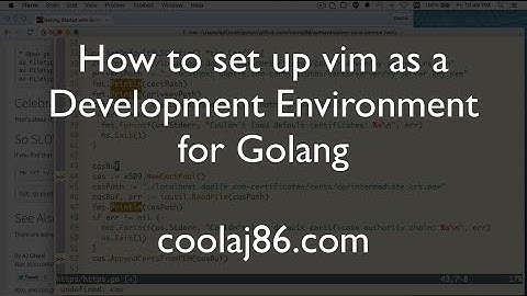 How to set vim up as a development environment for Go