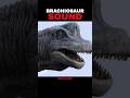 Brachiosaurus Dinosaur Sound Jurassic Park Inspired Audio Brachiosaurus Dinosaur Jurassicpark Brachiosaurus Dinosaur Sound Jurassic Park Inspired Audio Brachiosaurus Dinosaur Jurassicpark