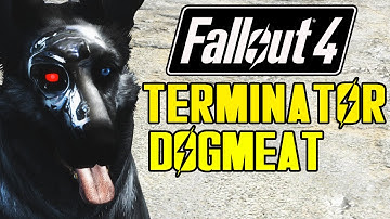 FALLOUT 4 - TOP 10 DOGMEAT MODS!