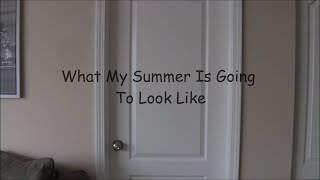 My Summer