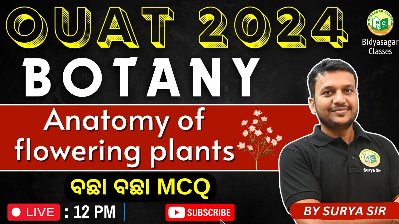 OUAT Entrance 2024 | Botany class 6 | Anatomy of flowering plants | Exam | MCQ #bidyasagarclasses