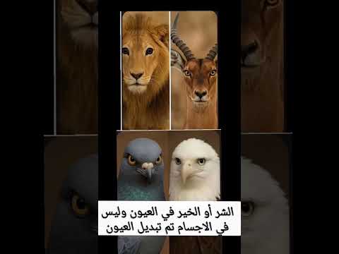 الشر والخير في العيون شوف الصورتين بعد تبديل العيون