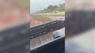 Daredevil Wakeboards Through Storm Drain After Cyclone Sean's Record Rain News