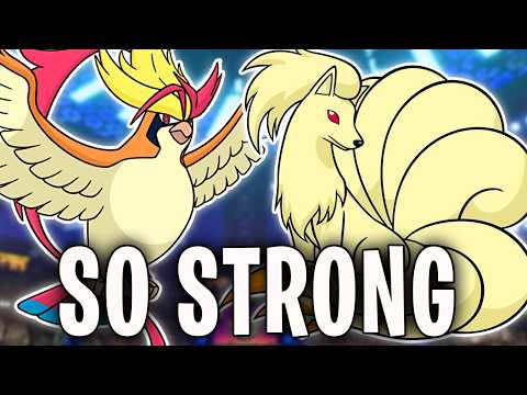 NOBODY Uses MEGA Pidgeot... but this *NEW* Team Is INSANE!!