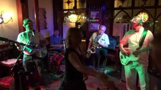 DB Smith & Friends "Help Me" live @ Dick Whittington Gloucester Blues Festival 2016