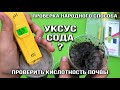 Проверить кислотность почвы простой и доступный способ Проверка