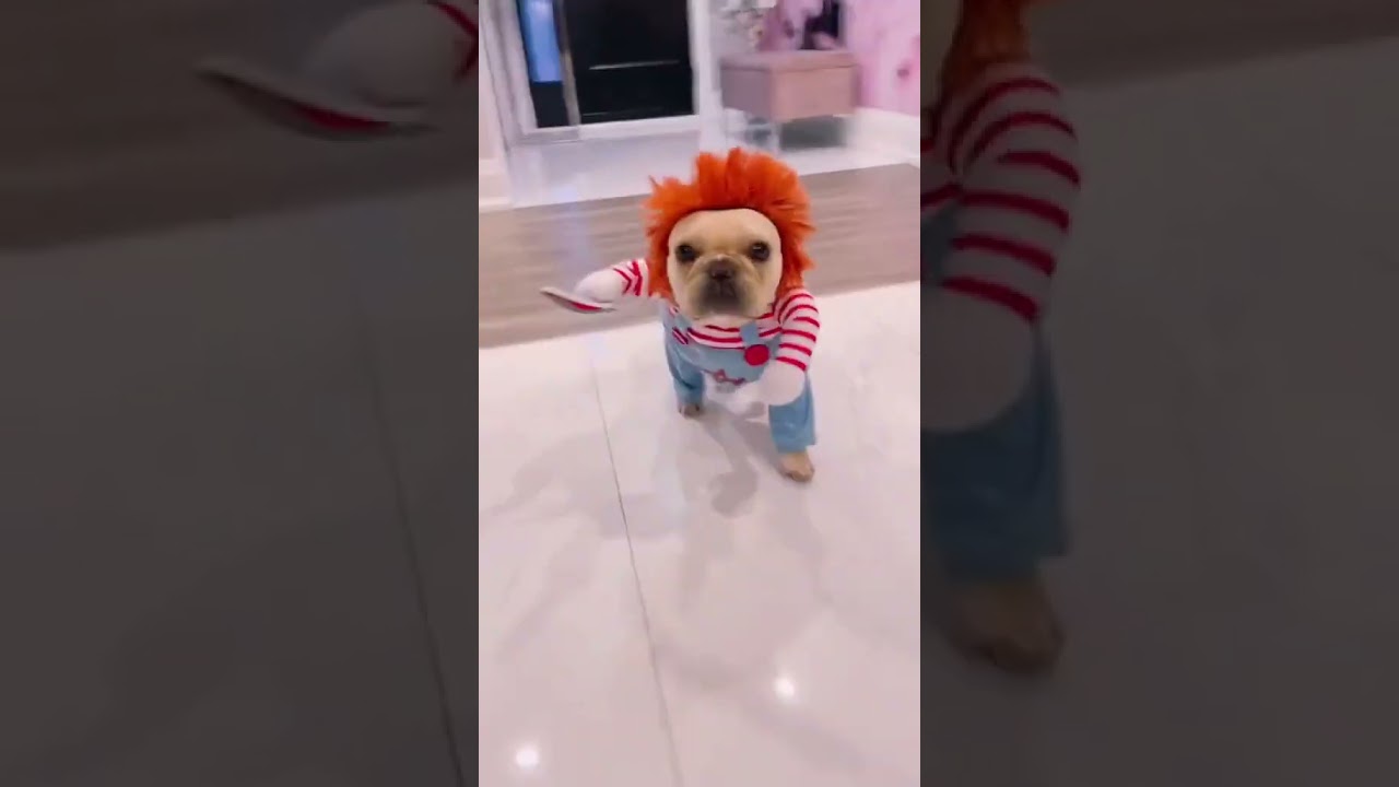 Perro Chucky 2